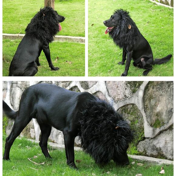 Lion Mane Wig for Large Dogs Black Pet Halloween Costume with Ears Funny Hat - Picture 3 of 8